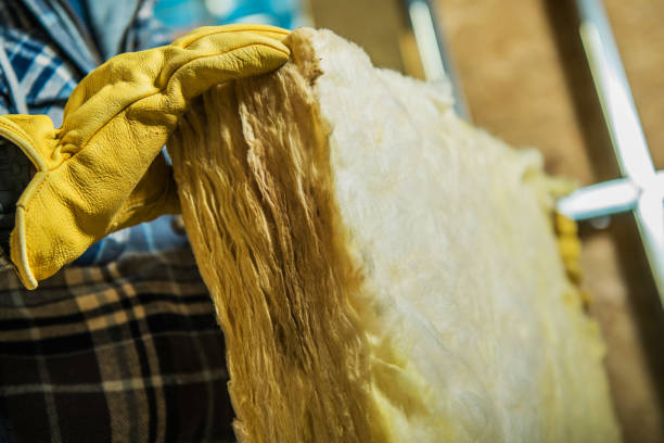 Best Residential Insulation in Pine Castle, FL