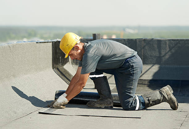 Best Insulation Maintenance and Repair in Pine Castle, FL