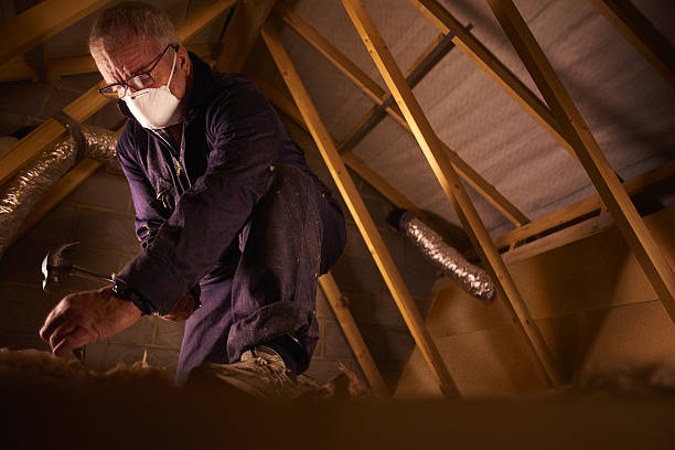  Pine Castle, FL Insulation Contractor Pros